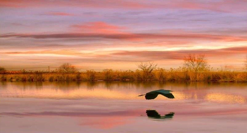 Atardecer sobre la laguna de L'Estany d'Almenara